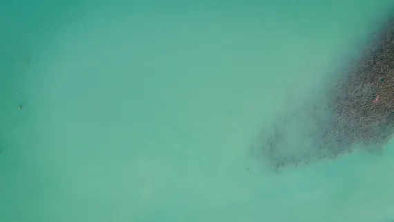 카지노 럭키 루크 지원